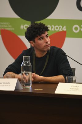 Enrique Collada